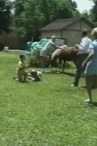 America’s Funniest Home Videos – S14E02 – Linguine Greenie and Sibling Rivalry
