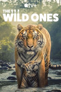 The Wild Ones – S01E01 – Tigers