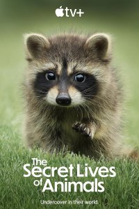 The Secret Lives of Animals – S01E04 – Home Making