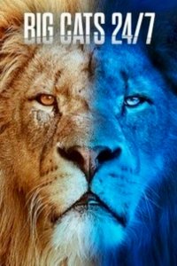 Big Cats 24/7 – S02E01 – The Rogue Boys