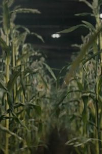 Silo – S01E08 – Hanna