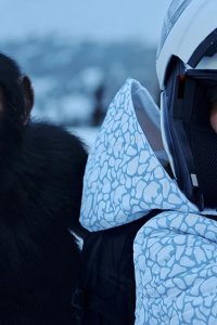Jane – S01E01 – Ursus maritimus