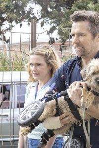 Colin from Accounts – S01E08 – High Needs People