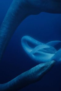 Prehistoric Planet – S01E01 – Coasts