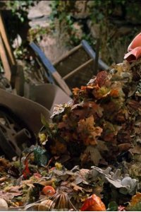 Fraggle Rock: Back to the Rock – S01E12 – Into the Trash
