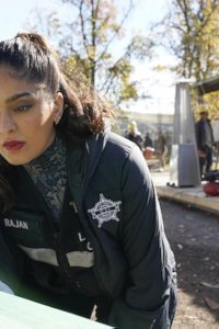 CSI: Vegas – S03E02 – Scar Tissue