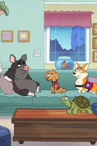 HouseBroken – S01E02 – Who Did This?