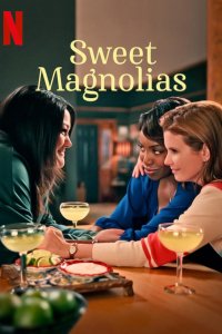 Sweet Magnolias – S03E09 – A Game of Telephone
