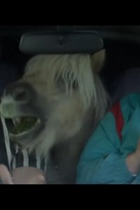 Brassic – S01E01 – Pony Heist