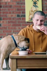 It’s Bruno! – S01E01 – Operation Turkey Meat