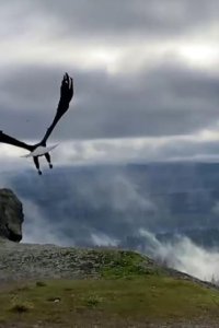 Into Alaska – S01E01 – Release the Eagle