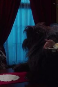 The Curious Creations of Christine McConnell – S01E01 – Snacks for Strays