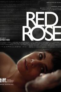 Red Rose