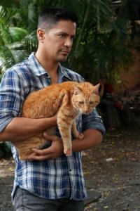 Magnum P.I. – S01E07 – The Cat Who Cried Wolf